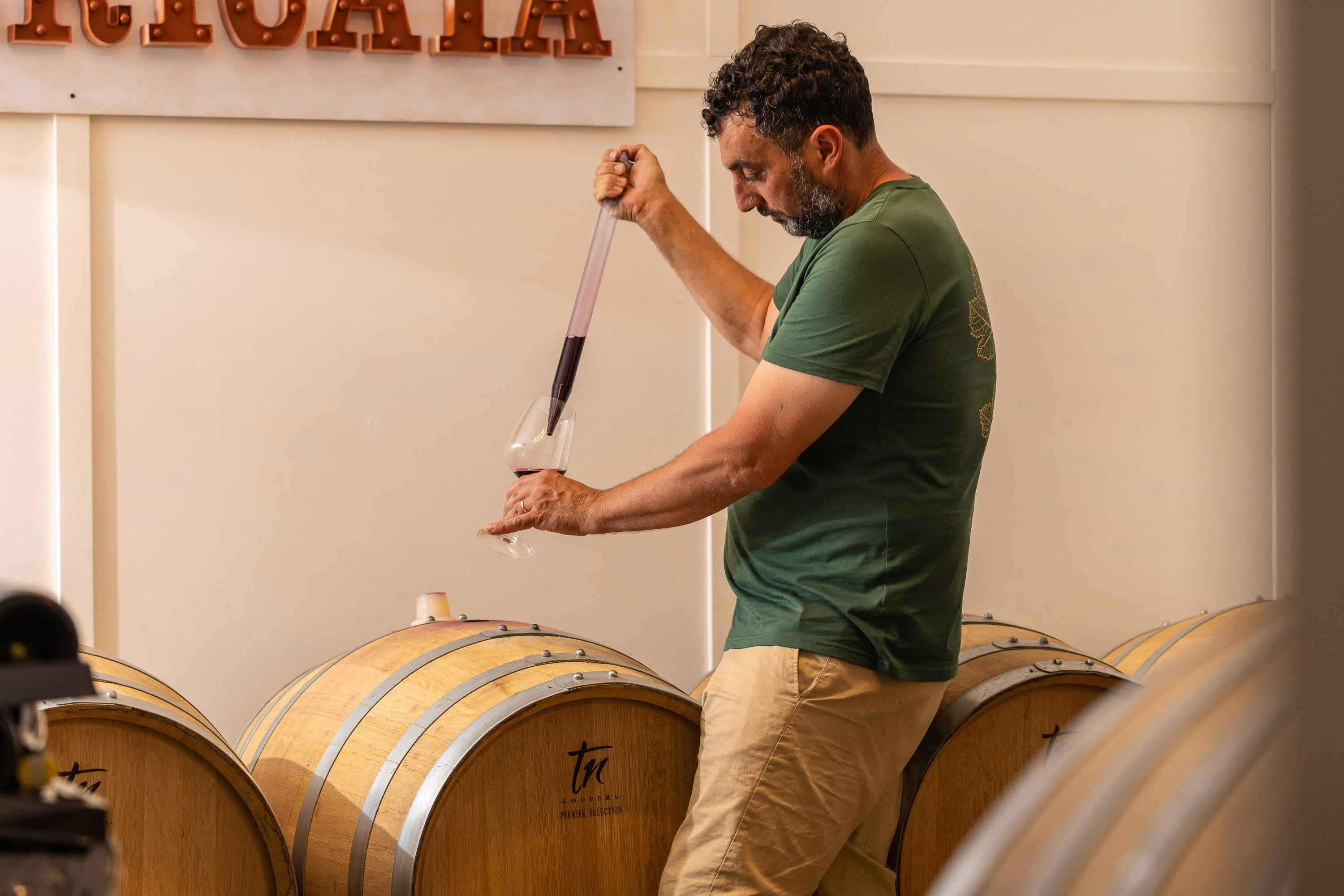 Il vino