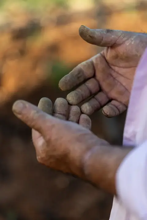 Le mani di un contadino, segnate dalla terra